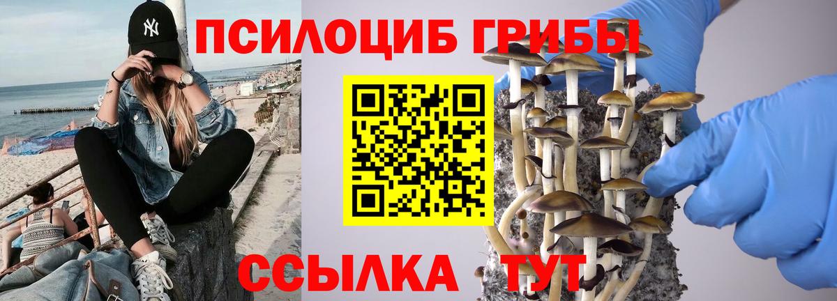 Галлюциногенные грибы мицелий Ялуторовск