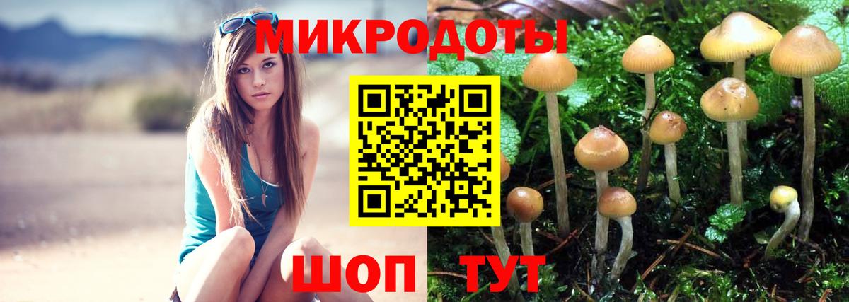 Псилоцибиновые грибы прущие грибы  Псилоцибиновые грибы прущие грибы  Вход с VPN  купить наркоту  Ялуторовск 